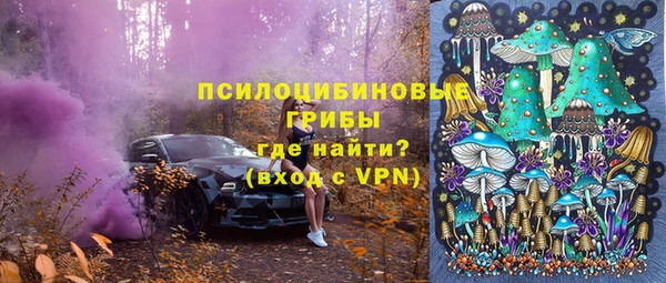 спиды Алексеевка