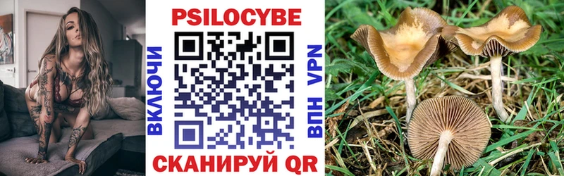 Галлюциногенные грибы Psilocybe продажа наркотиков Агидель
