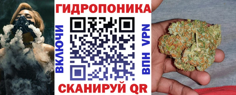 Каннабис сатива  Агидель 